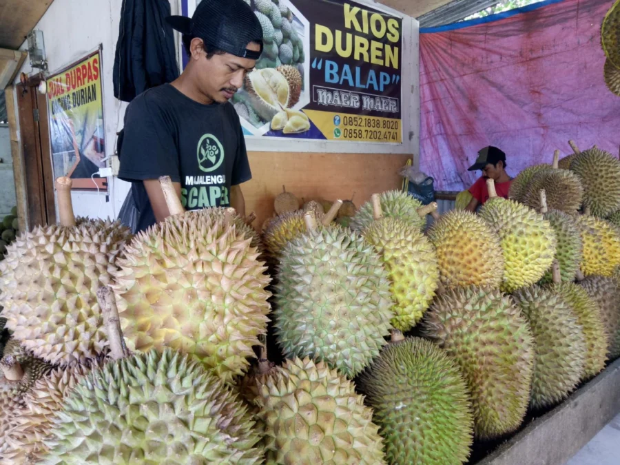 MAHAL. Salah seorang pedagang durian di Sindangwangi menjual durian per buah dan durian kupas dalam kemasan.