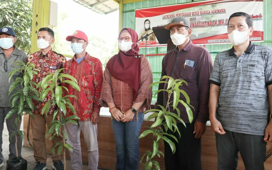 BERI PERHATIAN. Kelompok agrowisata Agrimania Flora Indramayu di Kawasan Wisata Situ Bolang, Desa Jatisura, Kecamatan Cikedung mendapat bantuan bibit dari Bupati Indramayu Nina Agustina.