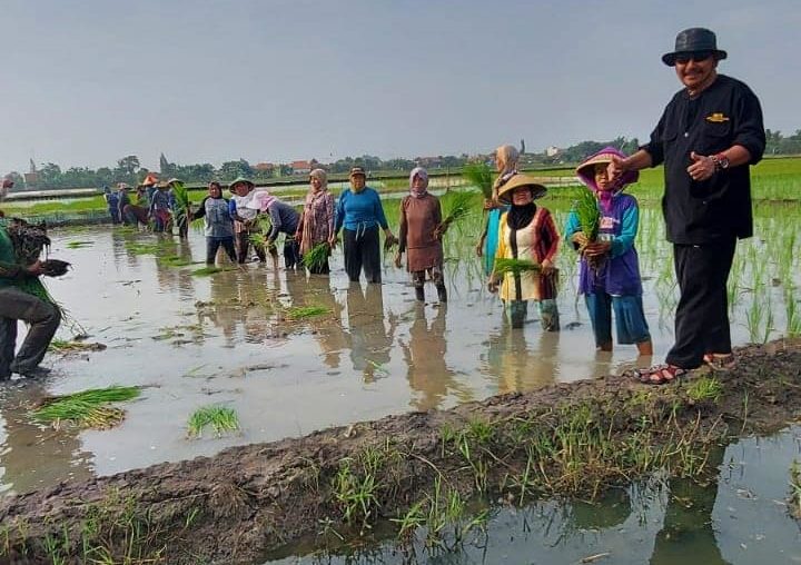 TERIMA KELUHAN. Wakil Ketua HKTI Kab Cirebon, H Asdullah sebut banyak petani mengeluhkan harga sewa lahan yang tinggi.