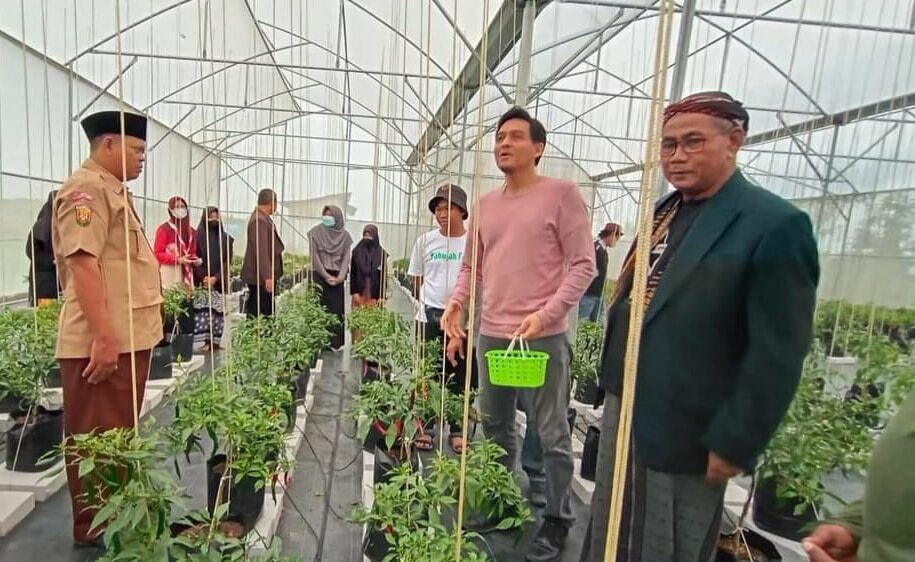 PANEN PERDANA. Wabup Indramayu, Lucky Hakim (kedua kanan) panen perdana cabai merah di Kampus Putih Yabujah Indramayu. Lucky memberikan motivasi untuk lebih kreatif dan lebih inovatif