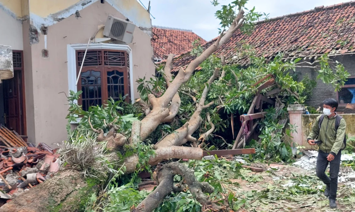 BENCANA. Salah satu lokasi dampak hempasan angin puting beliung di Desa Kongsi Jaya, Kecamatan Widasari, Indramayu.