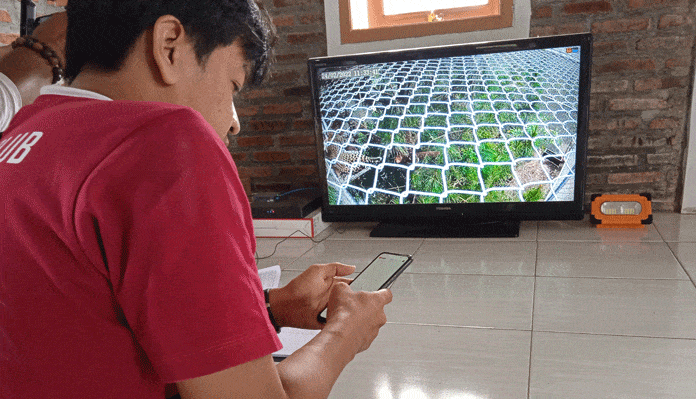 Macan Tutul Betina Rasi Dijodohkan dengan Slamet Ramadan