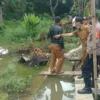 BIKIN WASWAS. Pemcam Sukagumiwang bersama pemdes dan masyarakat melakukan penanggulangan tanggul yang rawan jebol di daerah aliran sungai Cimanuk Blok Gumiwang Utara, Desa/Kecamatan Sukagumiwang.