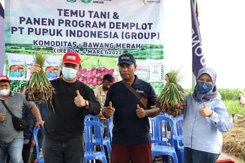 FOTO BERSAMA. Kepala Dinas Pertanian, Asep Pamungkas (kiri), bersama petani bawang H Kardah (tengah) dan Veronika Trisna Sukmawati, VP Pengendalian Operasi Pemasaran Wilayah Barat, Pupuk Indonesia (Persero) saat panen bawang di Cirebon.