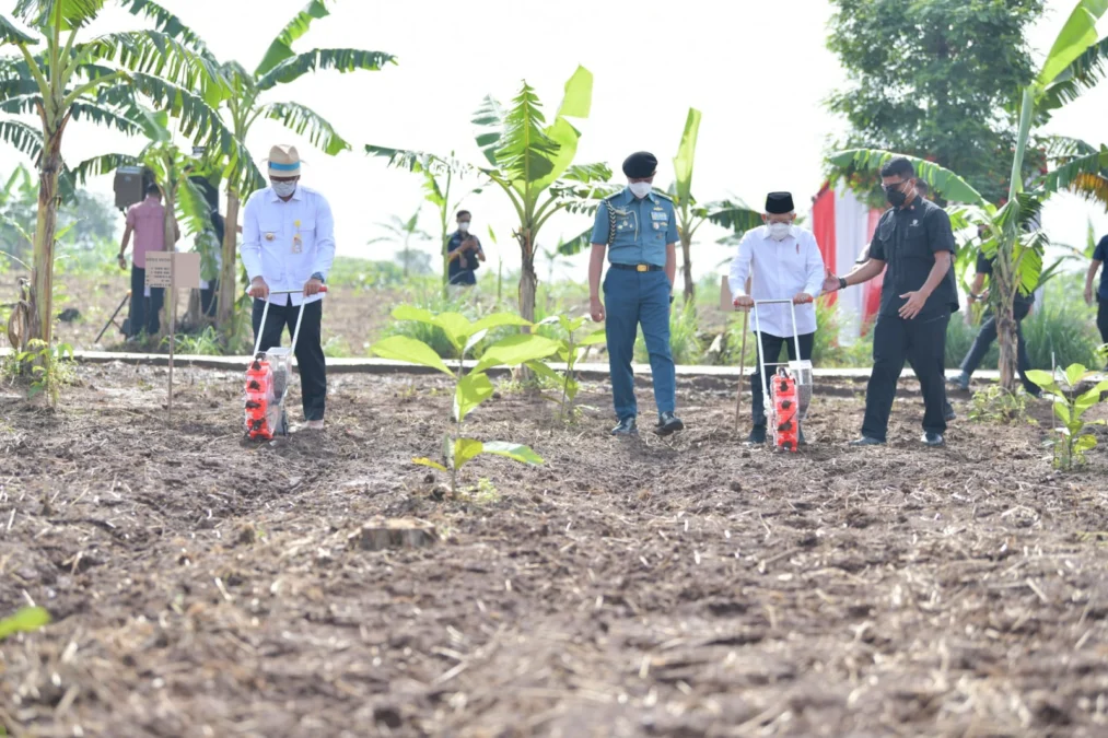 Gubernur Ridwan Kamil Temani Wapres Tinjau Lokasi Program Integrated Farming di Purwakarta