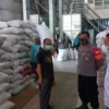 KUNKER. Camat Kedokanbunder, Atang Suwandi (kanan) melihat langsung proses produksi beras yang diminati Brunei Darussalam dan Timor Leste. Penggilingan tersebut mampu memproduksi beras premium sebanyak 100 ton per hari.