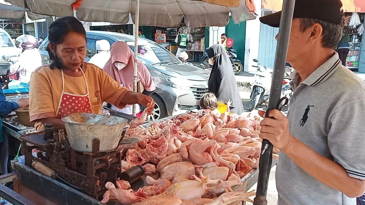 TETAP DIMINATI. Meskipun Harga daging ayam melambung, permintaan masyarakat tetap tinggi.