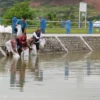 SIMBOLIS. 100 ribu benih ikan disebarkan di tiga embung di Kabupaten Cirebon bantuan dari Provinsi.