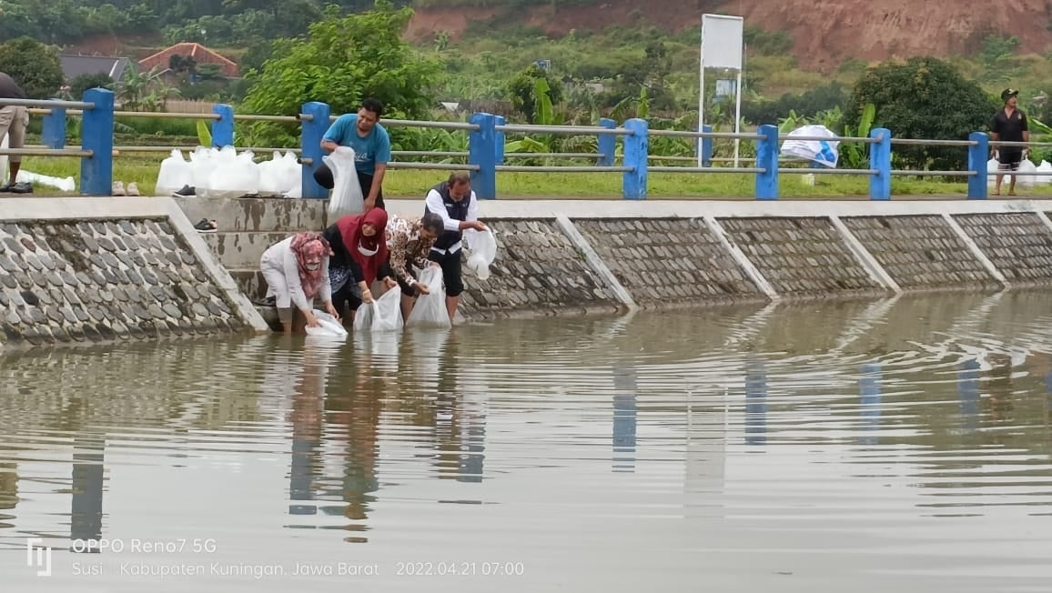 SIMBOLIS. 100 ribu benih ikan disebarkan di tiga embung di Kabupaten Cirebon bantuan dari Provinsi.