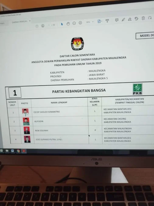 Caleg PKB Pemilu 2019