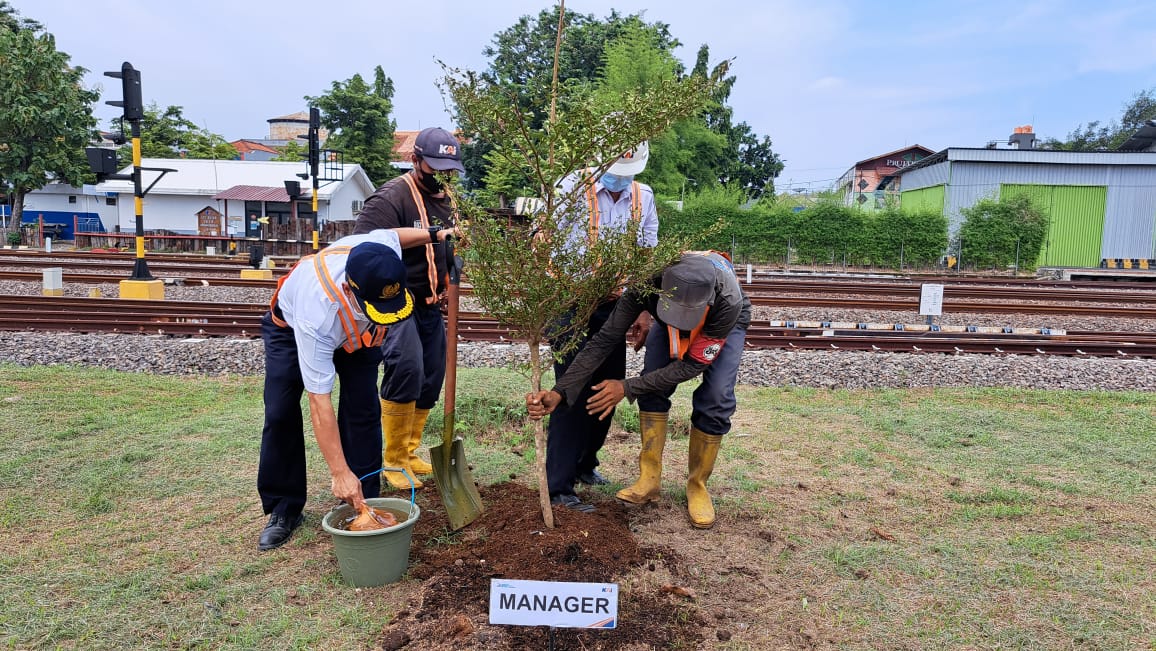 tanam sejuta pohon