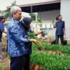 ubah lahan kosong jadi sumber pangan tambahan