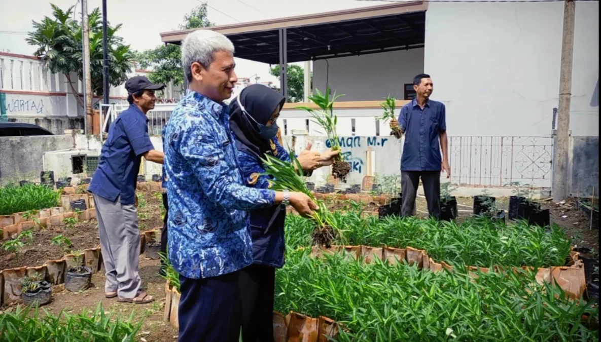 ubah lahan kosong jadi sumber pangan tambahan