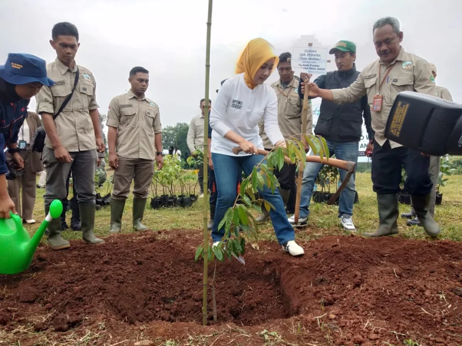 Tanam Pohon Buah