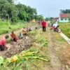 gotong royong desa karang asem