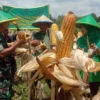 PANEN JAGUNG. Dandim 0620 SGJ Kabupaten Cirebon, Letkol Inf Afriandy Bayu Laksono bersama istri panen jagung bersama para petani di Desa Tonjong, Kecamatan Pasaleman, Kabupaten Cirebon. FOTO: ERMAWAN/RAKYAT CIREBON