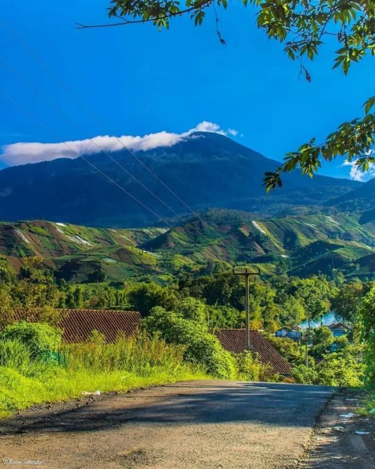 5 Tempat Camping di Kuningan Yang Wajib Anda Kunjungi!