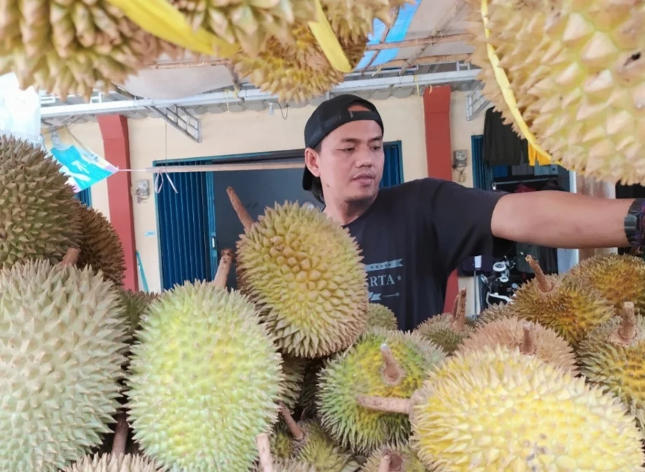 durian sinapeul