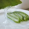 Manfaat Aloe Vera Bagi Kecantikan Kulit