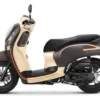 honda scoopy 2023