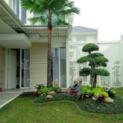 membuat taman depan rumah sederhana