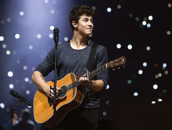 Fakta Menarik Shawn Mendes yang Jarang diketahui