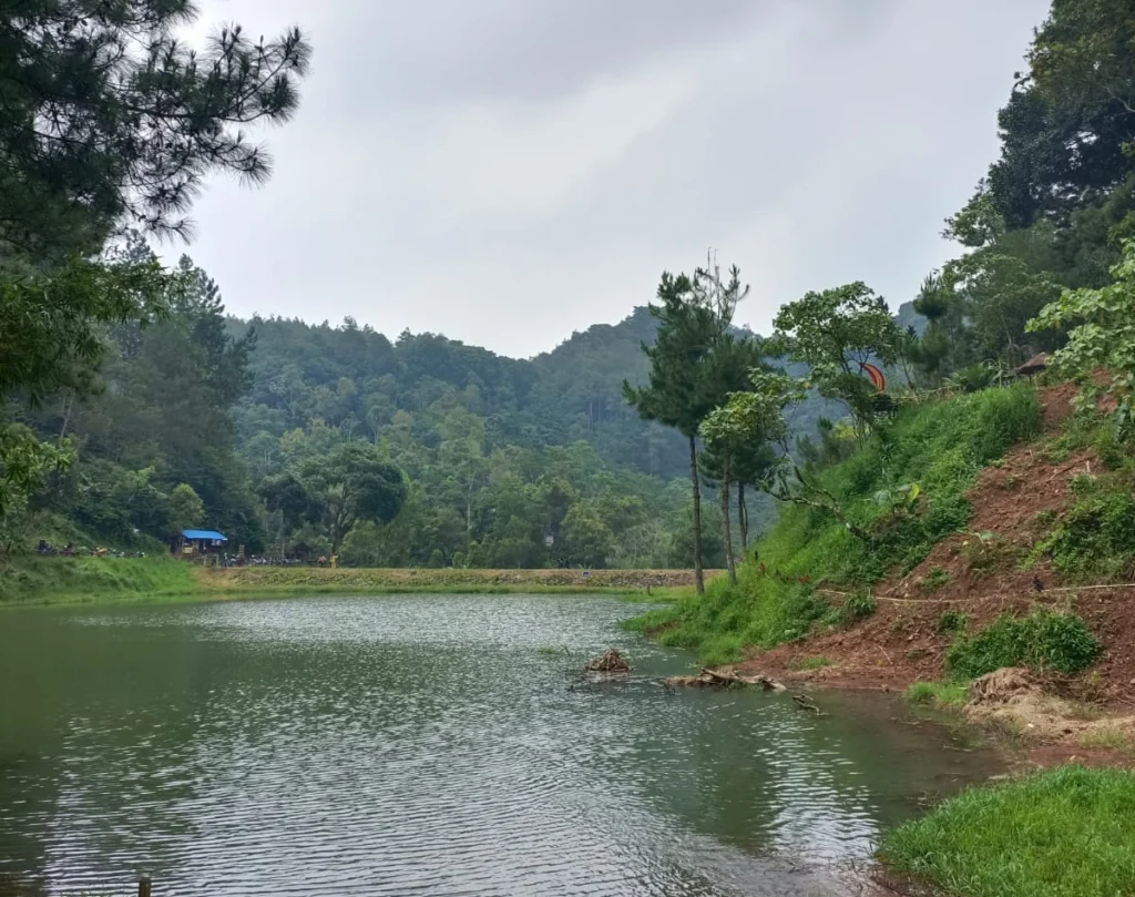 Situ Wulukut Kuningan Danau Tersembunyi Yang Instagenik