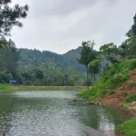 Situ Wulukut Kuningan Danau Tersembunyi Yang Instagenik