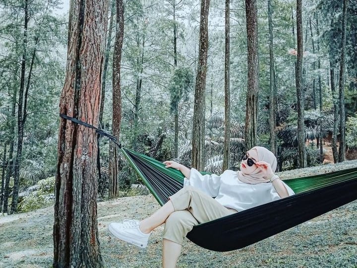 Sensasi Camping Sejuk di Hutan Pinus Darmacaang Majalengka