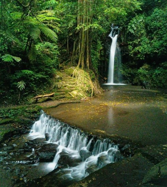 Curug Putri Palutungan