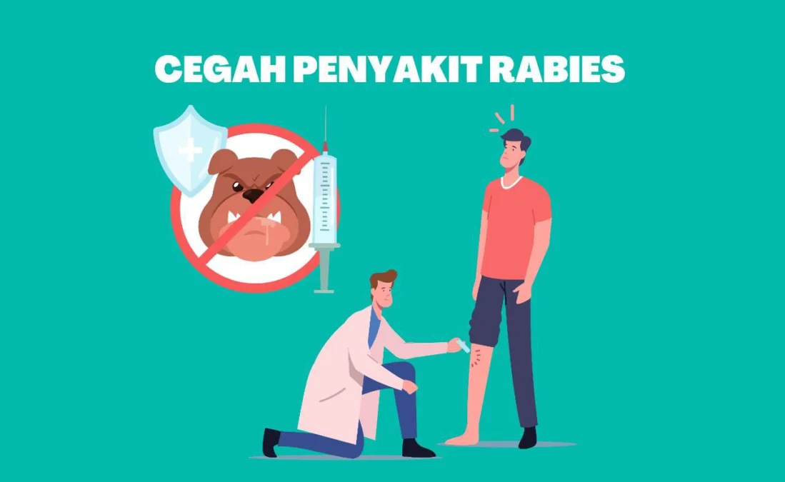 cara mencegah penyakit rabies