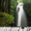 Curug Putri Palutungan