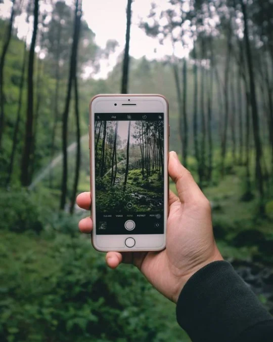 Gampang Banget ! 8 Tips Fotografi Menggunakan Hp Dijamin Hasilnya Bagus Cocok Untuk Semua Jenis Objek