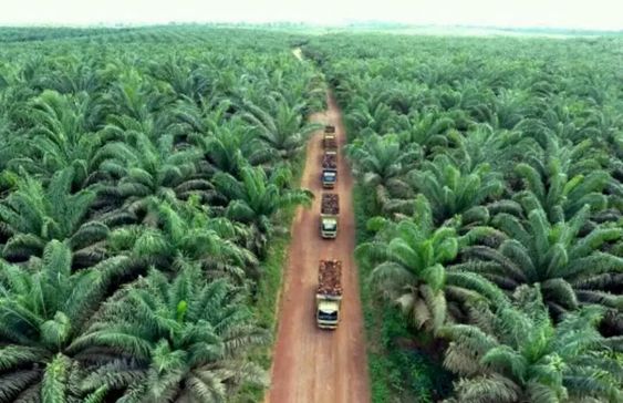 Lowongan kerja