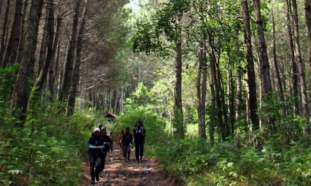 Gunung Tampomas