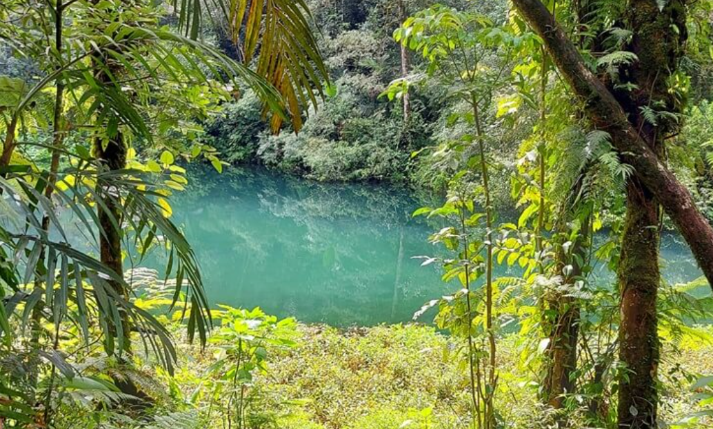 Gunung Pangrango