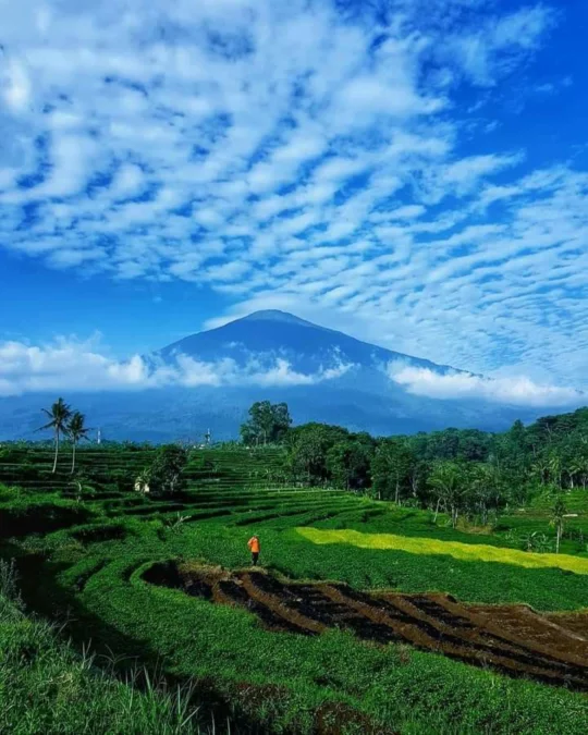 Vila Raya Ciputih Kuningan