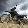 Suzuki DR150