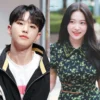 Hoshi Seventeen dan Yeri Red Velvet