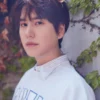 Kyuhyun Super Junior