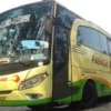 Bus Malam Po Bus Pahala Kencana Yang Dahulu Sebagai Primadona pada tahun 90an sampai 2000an awal