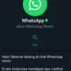 Ciri Ciri Akun Resmi WhatsApp