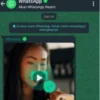 Arti Centang Hijau di Akun Resmi WhatsApp