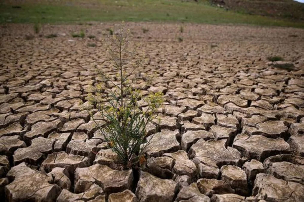 Wajib Tahu! Inilah 6 Dampak Elnino Bagi Masyarakat