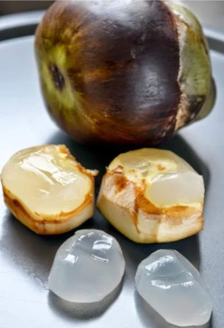 Jarang Ada Yang Tahu! Ternyata Buah Lontar Ini Memiliki 6 Manfaat Bagi Kesehatan Jarang Ada Yang Tahu! Ternyata Buah Lontar Ini Memiliki 6 Manfaat Bagi Kesehatan