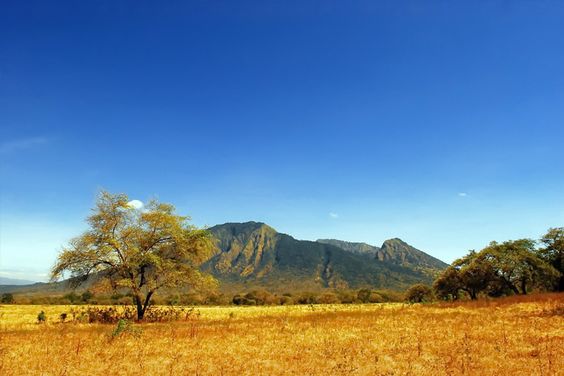 Rekomendasi 7 Savana Indah di Indonesia yang Harus Kamu Kunjungi !