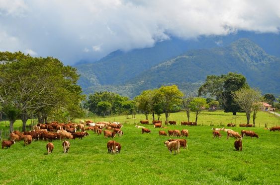 5 Destinasi Tempat Wisata di Banyuwangi yang Hits, Wajib Kamu Kunjungi !