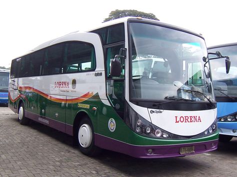 Bus Lorena