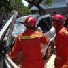 Begini Cara Klaim Asuransi untuk Mobil yang Tertimpa Pohon