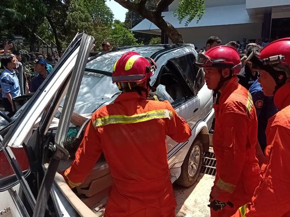 Begini Cara Klaim Asuransi untuk Mobil yang Tertimpa Pohon